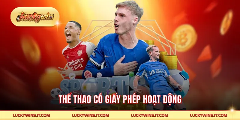 Thể thao và giấy phép hoạt động